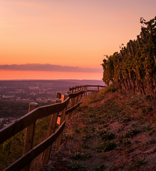 Sonnenuntergang am Scheuerberg in Neckarsulm | © Touristikgemeinschaft HeilbronnerLand e.V.