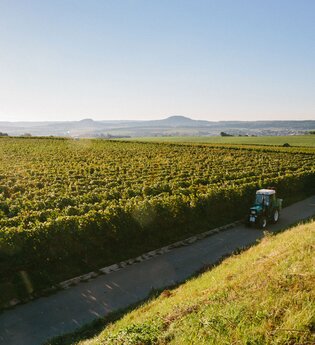 Ilsfelder Rappen mit Blick Richtung Abstatt und Helfenberg | Ilsfeld | Heilbronner Land | © Golter -Weingut im Klee GbR