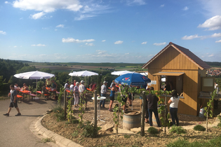 Weinausschank am Lobenberg | Schwaigern | HeilbronnerLand | © Wein am Berg e.V.