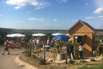Weinausschank am Lobenberg | Schwaigern | HeilbronnerLand | © Wein am Berg e.V.