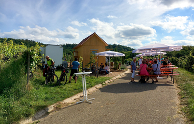 Weinausschank am Lobenberg | Schwaigern | HeilbronnerLand | © Wein am Berg e.V.