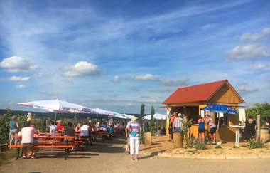 Weinausschank am Lobenberg | Schwaigern | HeilbronnerLand