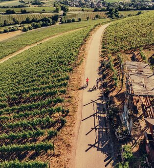 Weinausschank am Zweifelberg aus der Vogelperspektive | © Chris Frumolt