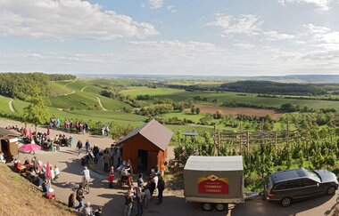 Weinausschank im Zweifelberg - Panoramablick über das Zabergäu| Brackenheim | HeilbronnerLand | © Weingärtner Stromberg-Heuchelberg eG