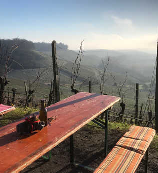 Weinausschank in den Weinbergen am Zweifelberg | Weingärtner Stromberg-Zabergäu | Brackenheim | HeilbronnerLand | © Weingärtner Stromberg-Zabergäu
