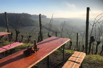 Weinausschank in den Weinbergen am Zweifelberg | Weingärtner Stromberg-Zabergäu | Brackenheim | HeilbronnerLand | © Weingärtner Stromberg-Zabergäu