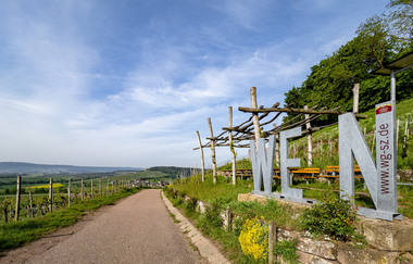 WEIN-Fotospot und Ausschankstelle im Zweifelberg | © Neckar-Zaber-Tourismus e.V.
