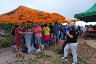 Weinbergfest - Summerfeeling an unserer Weinberghütte