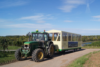 Weinbergrundfahrten Hoffmann | Planwagen- und Weinbergrundfahrten | HeilbronnerLand | © Winzerhof am Schlierbach