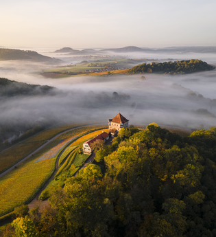 Weinbergrundfahrten | Planwagenfahrt Weingut Härle | © Touristikgemeinschaft HeilbronnerLand e.V.