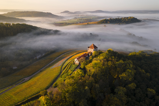 Weinbergrundfahrten | Planwagenfahrt Weingut Härle | © Touristikgemeinschaft HeilbronnerLand e.V.