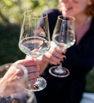 Frau, mehrere Weingläser, Landgut Steng | © Jana Reichert Photography