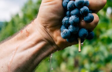 Weinfest am Vatertag