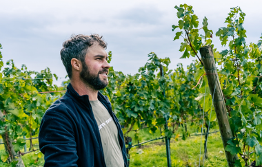 Weinfest am Vatertag