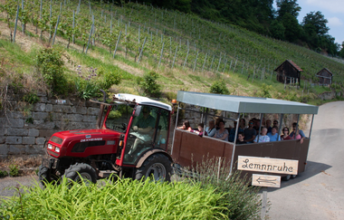 Traktorsafarie am Heilbronner Wartberg | Weingut Albrecht-Kiessling | Heilbronn | © Weingut Albrecht-Kiessling