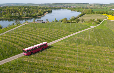Weinhopping im Oldtimerbus