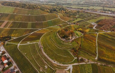 Weinsberger Weinwanderung 2024 | Weinsberger Tal | Veranstaltung