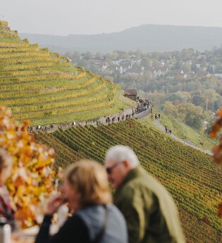Weinsberger Weinwanderung 2024 | Weinsberger Tal | Veranstaltung