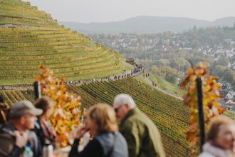 Weinsberger Weinwanderung 2024 | Weinsberger Tal | Veranstaltung