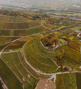 Weinsberger Weinwanderung 2024 | Weinsberger Tal | Veranstaltung | © Tourismus im Weinsberger Tal