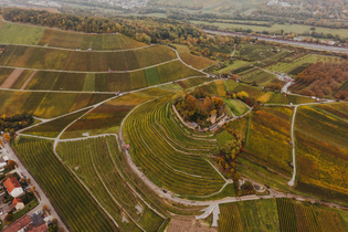 Weinsberger Weinwanderung 2024 | Weinsberger Tal | Veranstaltung | © Tourismus im Weinsberger Tal