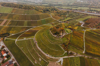 Weinsberger Weinwanderung 2024 | Weinsberger Tal | Veranstaltung | © Tourismus im Weinsberger Tal