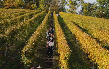 Weinsberger Weinwanderung 2024 | Weinsberger Tal | Veranstaltung | © Tourismus im Weinsberger Tal