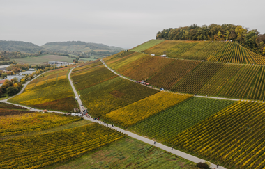 Weinsberger Weinwanderung 2024 | Weinsberger Tal | Veranstaltung | © Tourismus im Weinsberger Tal