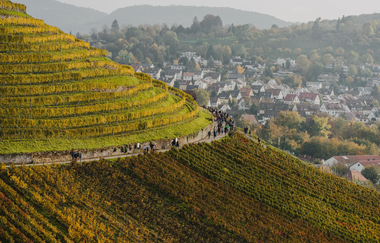 Weinsberger Weinwanderung 2024 | Weinsberger Tal | Veranstaltung | © Tourismus im Weinsberger Tal
