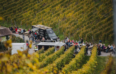 Weinsberger Weinwanderung 2024 | Weinsberger Tal | Veranstaltung | © Tourismus im Weinsberger Tal