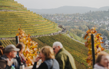 Weinsberger Weinwanderung 2024 | Weinsberger Tal | Veranstaltung | © Tourismus im Weinsberger Tal
