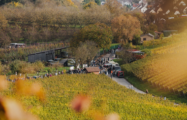Weinsberger Weinwanderung 2024 | Weinsberger Tal | Veranstaltung | © Tourismus im Weinsberger Tal