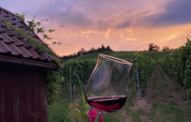 Weinglas im Vordergrund mit Rotwein, links Wengersthäusle und im Hintergrund Weinberge