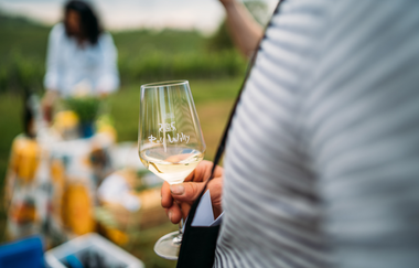 Querfeldein-Weinwanderung-Rolf Willy | © Privatkellerei Rolf Willy