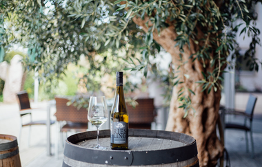 Weingut Fischer Heilbronn | © Heilbronn Marketing GmbH