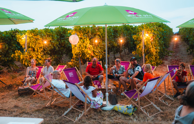 Weinseelig | © TMBW