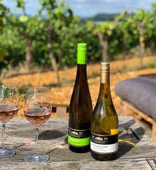 Weinterrasse | © Panoramaweingut Baumgärtner