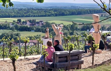 Weinterrasse | © Panoramaweingut Baumgärtner