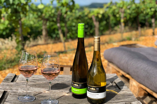 Weinterrasse | © Panoramaweingut Baumgärtner