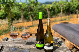 Weinterrasse | © Panoramaweingut Baumgärtner