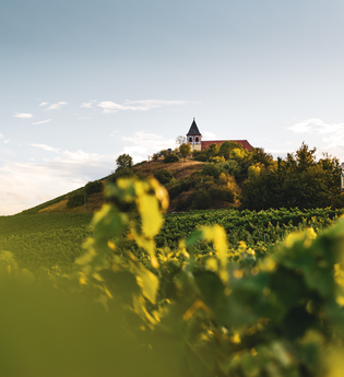 Michaelsberg Cleebronn |  HeilbronnerLand | © Touristikgemeinschaft HeilbronnerLand e.V.