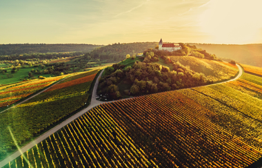 Michaelsberg Cleebronn & Schönste Weinsicht Württemberg | HeilbronnerLand | © Touristikgemeinschaft HeilbronnerLand