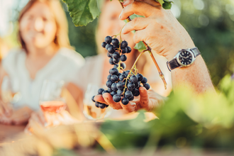 Weintrauben an der Rebe | © Touristikgemeinschaft HeilbronnerLand | Chris Frumolt