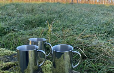 WeinWanderung bei Kerzenschein | © Ute Schmidt