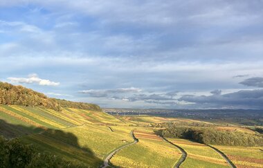 WeinWanderung bei Kerzenschein | © Ute Schmidt