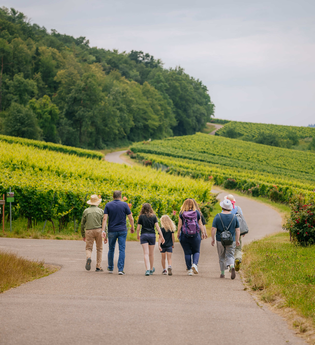 Weinwanderung | © Hohenloher Perlen