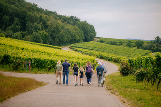 Weinwanderung | © Hohenloher Perlen