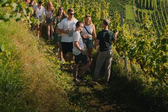 Gruppe von Menschen wandert auf einem schmalen Pfad durch terrassierte Weinberge mit Blick auf eine Stadt im Hintergrund | © WG Schriesheim