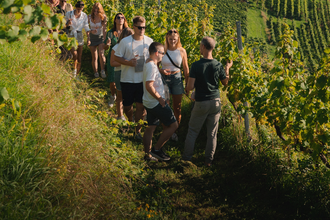 Gruppe von Menschen wandert auf einem schmalen Pfad durch terrassierte Weinberge mit Blick auf eine Stadt im Hintergrund | © WG Schriesheim