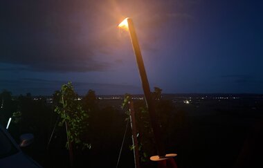 Fackel in den Weinbergen